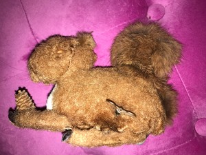 wind up squirrel toy