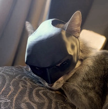 READ DESCRIPTION BLACK ONLY 3D Printed Cute Batman cat mask