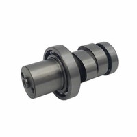 Nockenwelle Lagerachse Honda FES Pantheon 4T 125 2003 - 2005