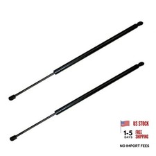 2Pcs 26.3 In Rear Back Lift Supports Compatible With 08-16 TOWN COUNTRY GRAND