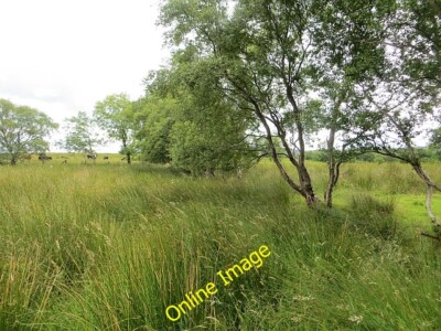 Photo 6x4 Wet farmland off Temple Road Ballynameen An earlier view: [[611 c2013