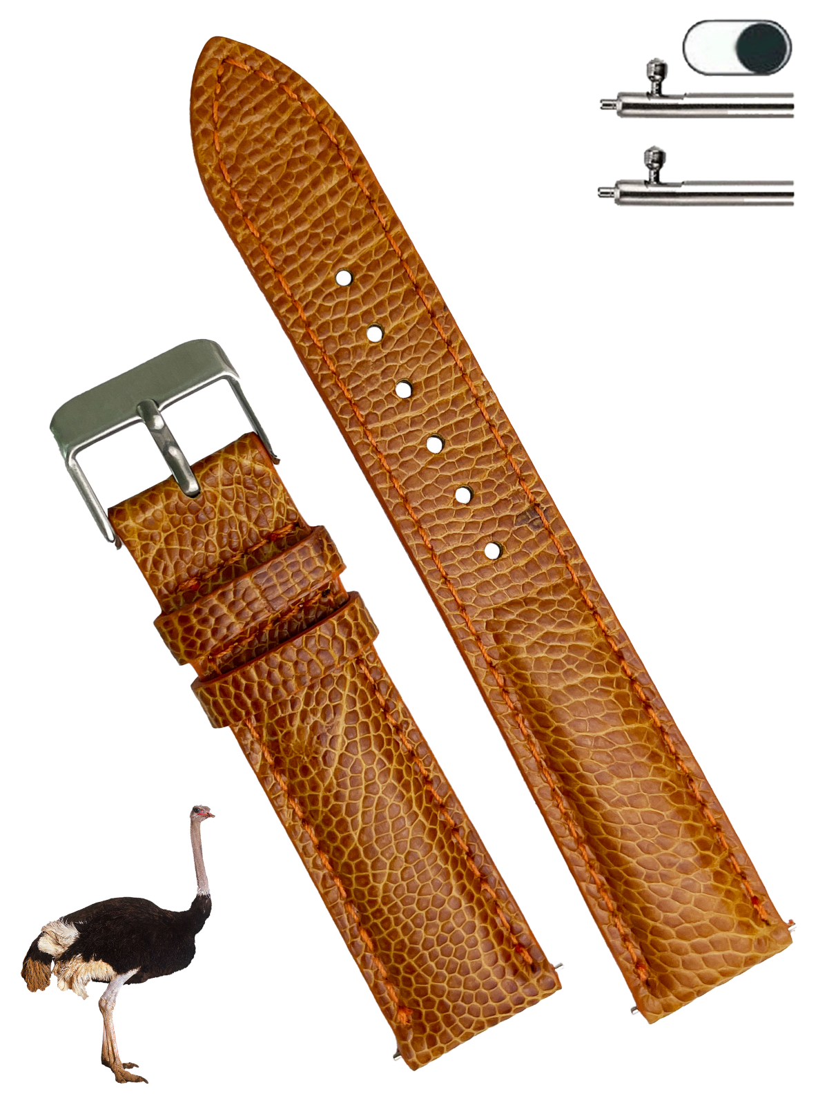 20mm Brown Ostrich Leather Watch Band Genuine Skin Watch Strap For Men
