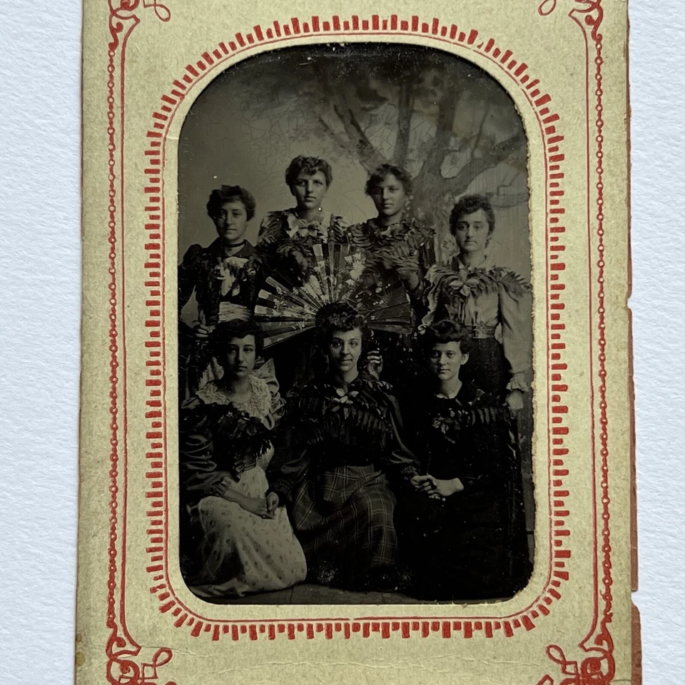 Antique Tintype Photograph Beautiful Young Women Teens Affectionate Ferns & Fan - Image 3 of 4