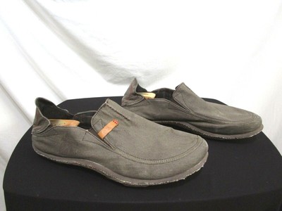cushe canvas shoes