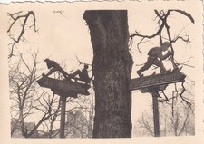 Foto - 2 Wegweiser "Zur Rodelbahn" und "Zur Sprungschanze" - 1930er