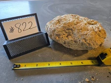 6" Medium Pumice Stone Floating Natural Rock Carnivorous Succulent Garden #822