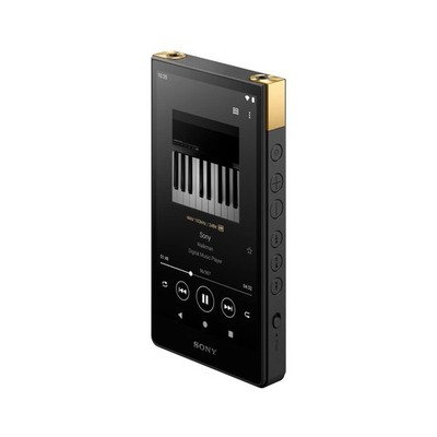 Sony NW-ZX707 Walkman 64GB Hi-Res Digital Music Player | eBay