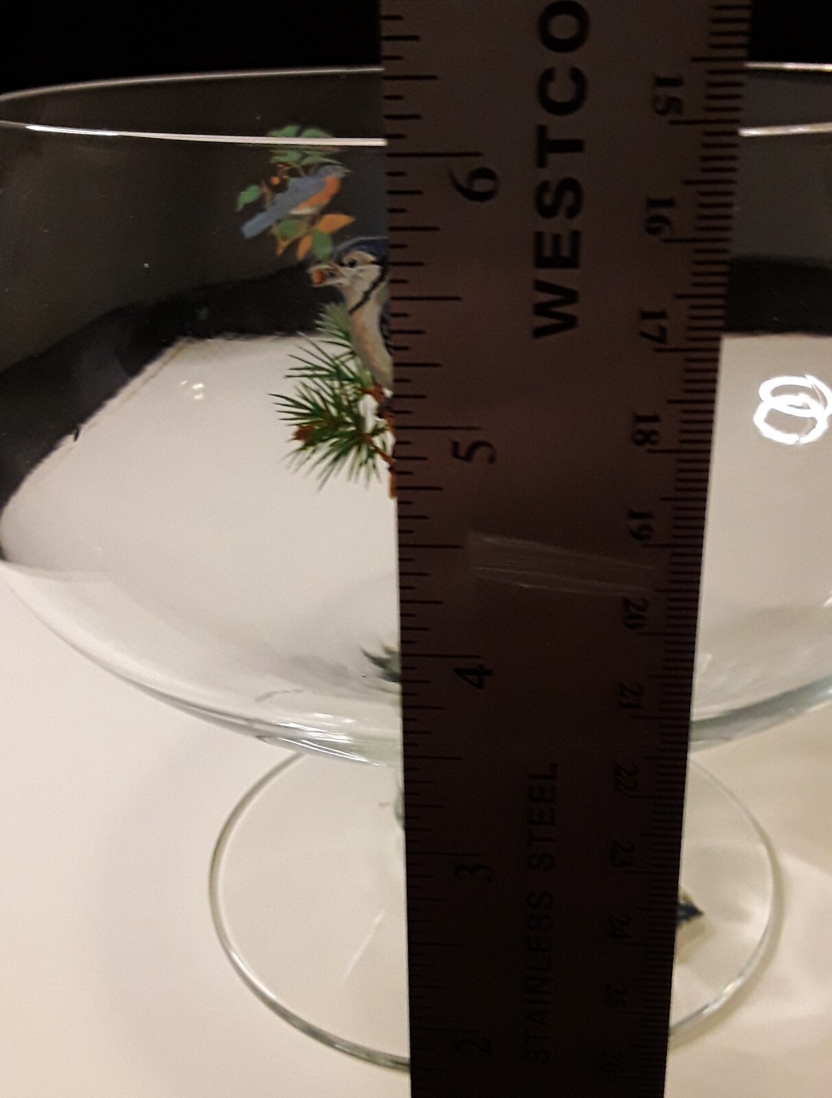 West Virginia Glass Pedastal Trifle Punch Bowl Songbirds Hand Painted