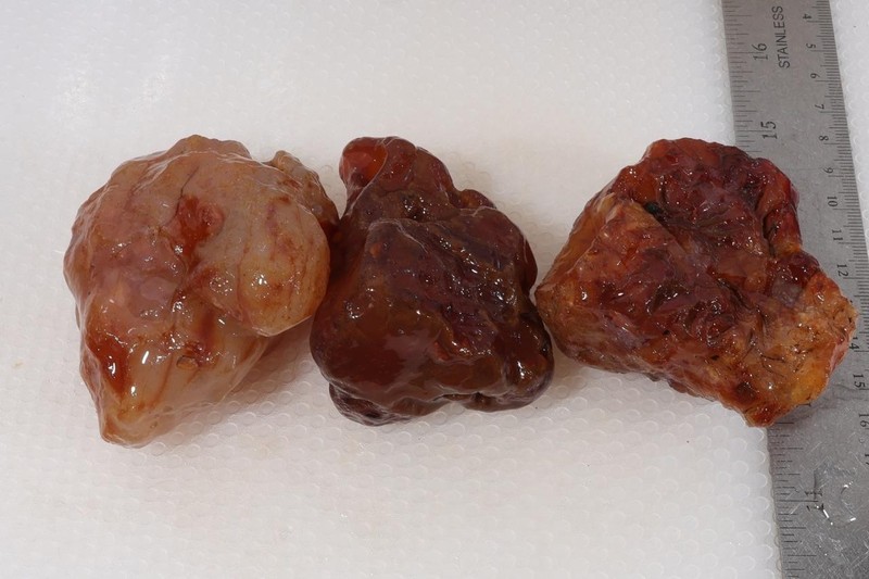 Carnelian Agate 1 lb 7 oz lapidary rough lot #4x