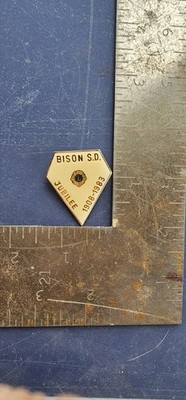 Lions Club Bison 75th Jubilee Pin 1908-1983