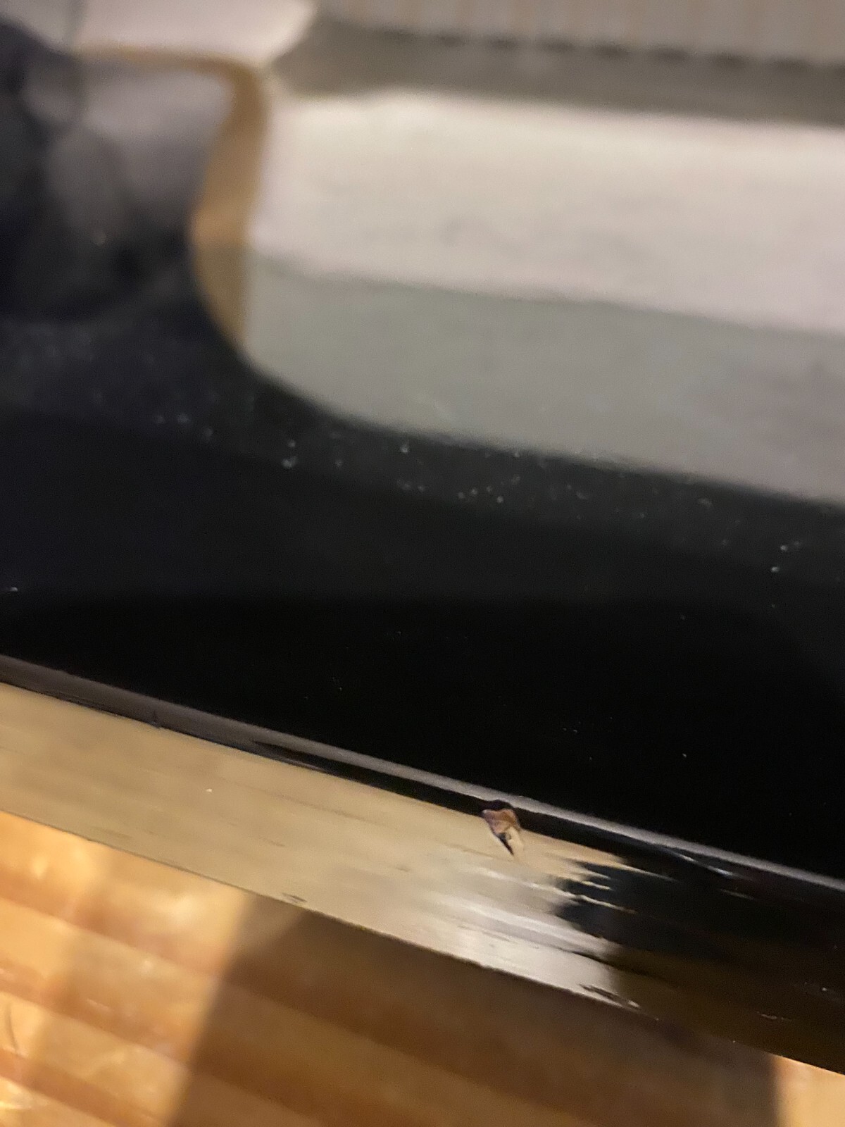 Oval high gloss black modern contemporary TV Stand child friendly no