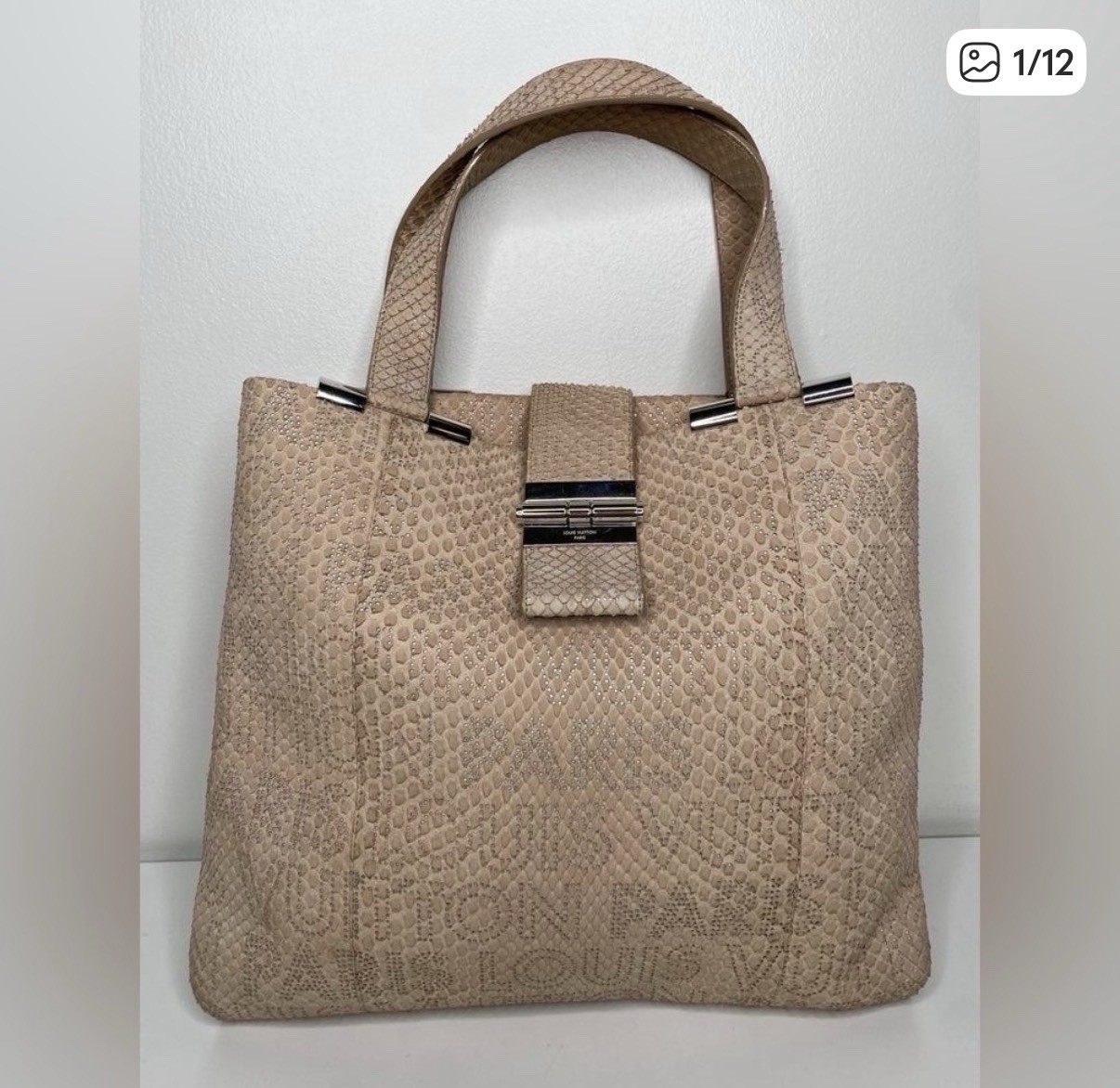 Louis Vuitton Python Perfore Delphi’s - image 1