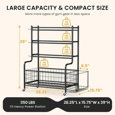New Dumbbell Rack, Weight Rack for Home Gym, Weight Stand