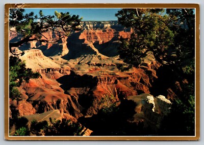 Postcard Arizona Grand Canyon Rim Trail View at Yavapai Point 22C