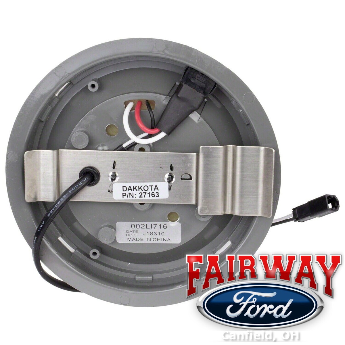 ブルテリア ノベルティフロアライト from Vancouver♪ ブルテリア ノベルティフロアライト from Vancouver♪ ブルテリア