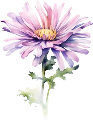 Car Sticker 18x18 cm | Aster Birth Flower | Weatherproof | High Quality Film