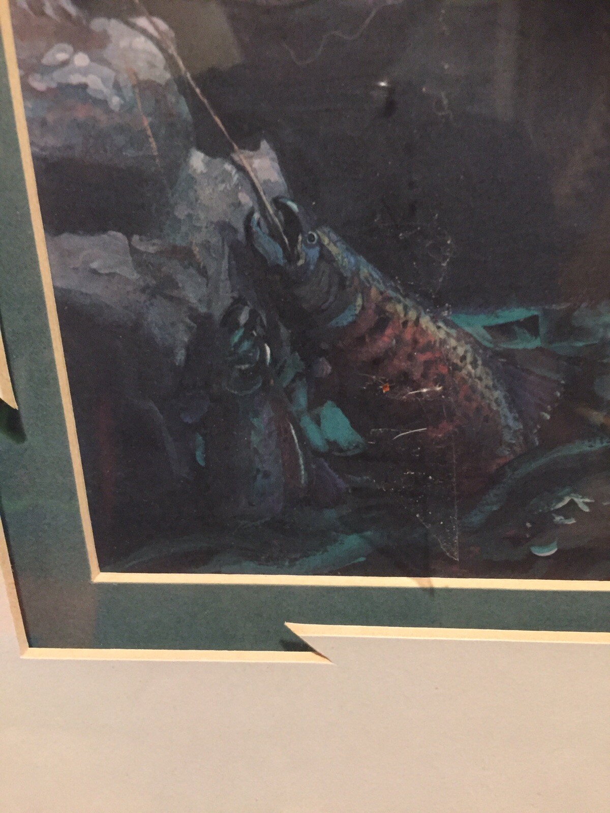 Picture 8 of 8