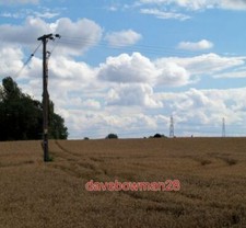 PHOTO  POWER CABLES IN CORN FIELD.  2007