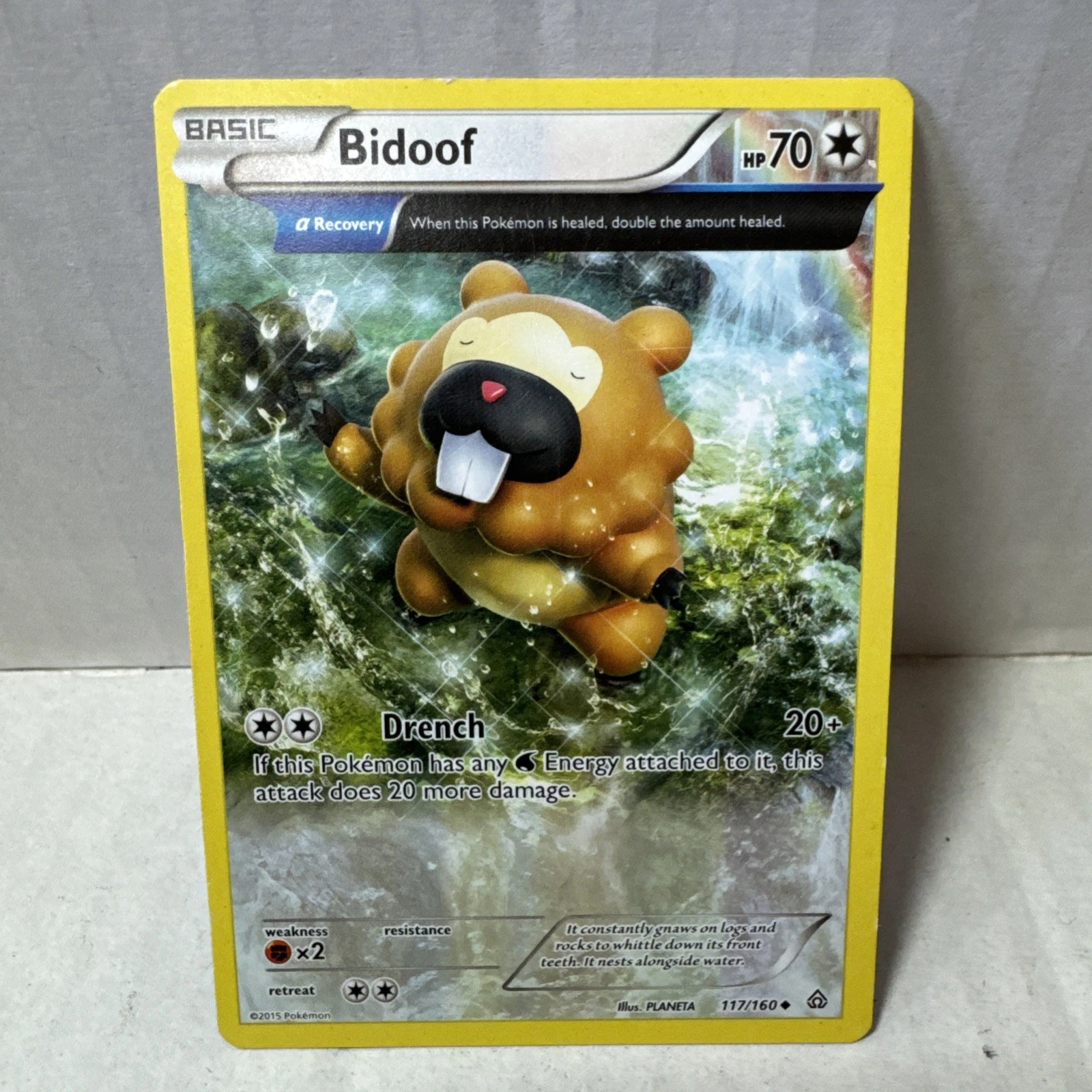 Pokemon Card Bidoof Primal Clash Uncommon 117/160 Near Mint/Lightly Played