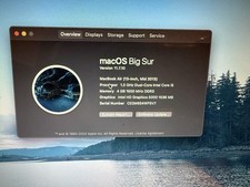 Computer Apple Mac 11.7.10