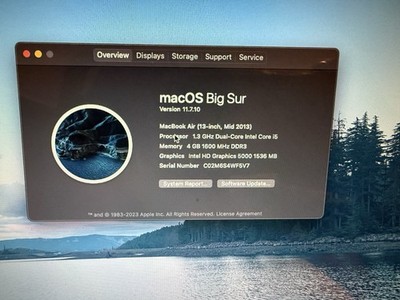 Computer Apple Mac 11.7.10