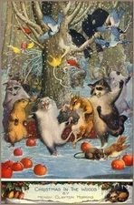 Christmas in the Woods Postcard - Raccoon, Possum, Birds, Squirrel, Snow 1917