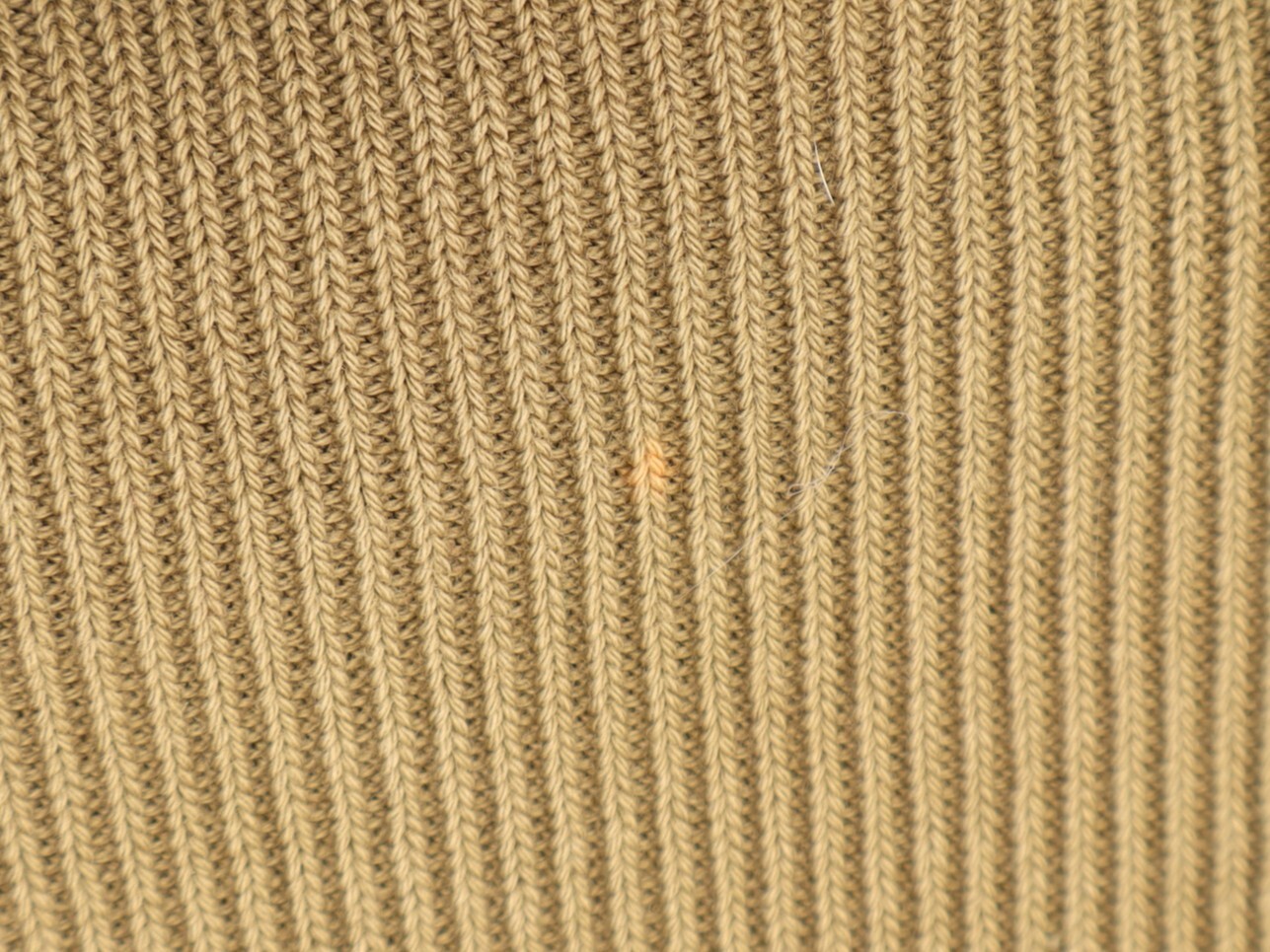 Picture 6 of 6