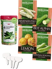 4 Varieties Cucumber Seeds - High Germination Rate Cucumber Seeds for PlantingB4