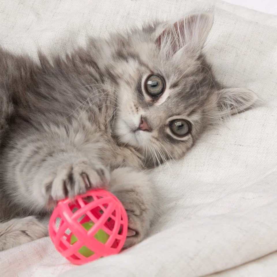 Интерактивные игрушки для кошек набор игрушек только для кошек - 13 штук, все размеры породы - Изображение 3 из 4