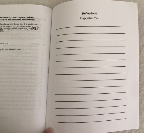 Easy Grammar Plus Student Test Booklet by Wanda C. Phillips Homeschool Testing - Picture 4 of 4