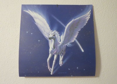 FALLING STAR ( Pegasus ) ~ Sue Dawe Fantasy Art 12 x 12 ~ Dungeons