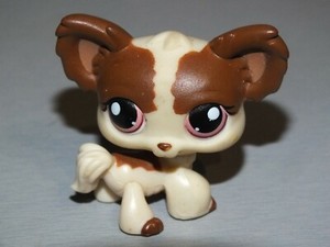 lps papillon