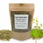 Organic LADY'S MANTLE Herb Tea Dried Alchemilla Vulgaris Wild Harvest 25 - 200g