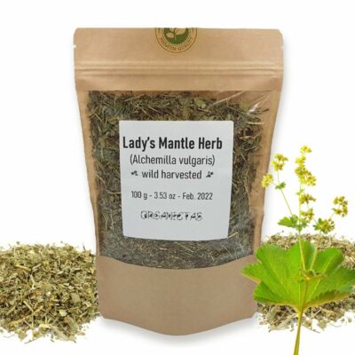 Bio DAMENMANTEL Kräuter Alchemilla vulgaris Tee mit vielen Vorteilen & Anwendungen