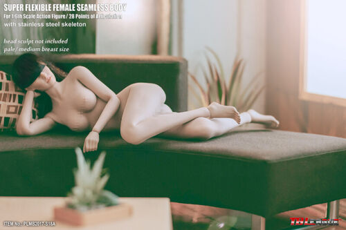 1/6 Seamless Female Body Tbleague Phicen Action Figure For 12inch Figure Model - Bild 23 von 32