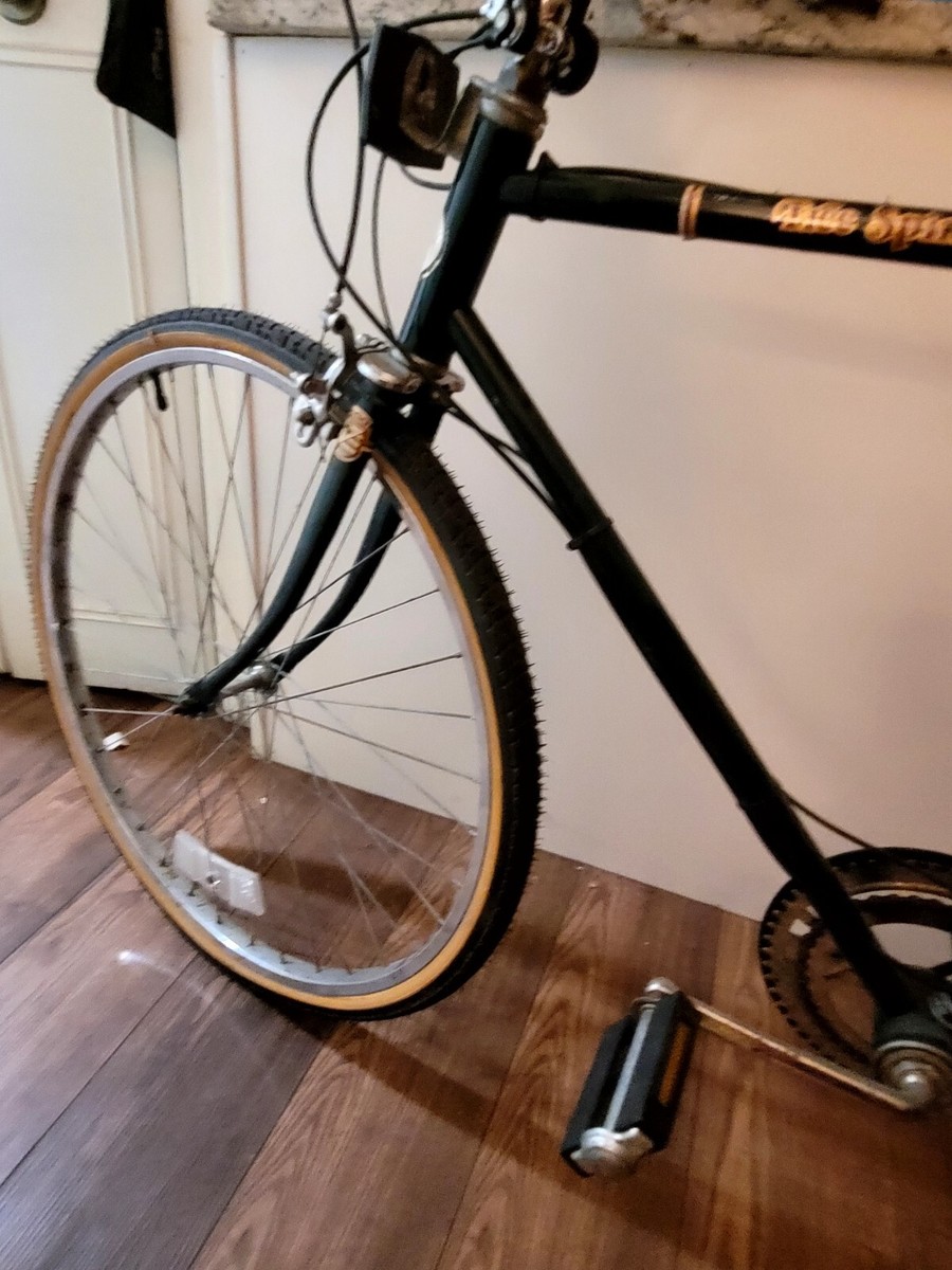 Vintage Sears Roebuck Free Spirit Bike Men's Bicycle Greenbrier