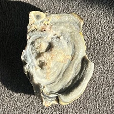 Brazilian Agate Conchina  Sparkly Rock Unknown Origin