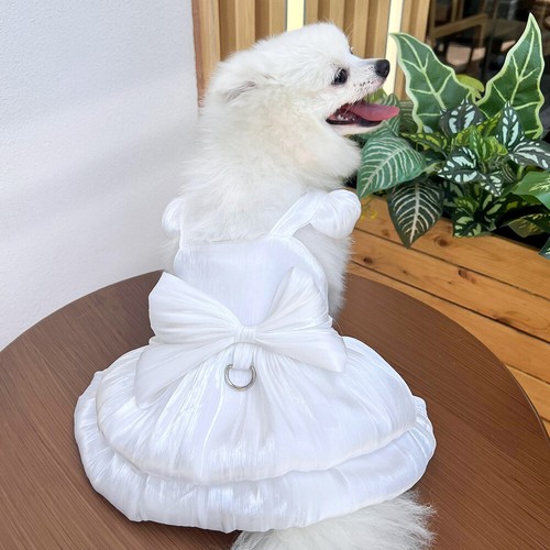 Chihuahua Mascota Cachorro Perro Brillante Falda Princesa Tutú Vestido Ropa de Verano Ropa - Imagen 10 de 29