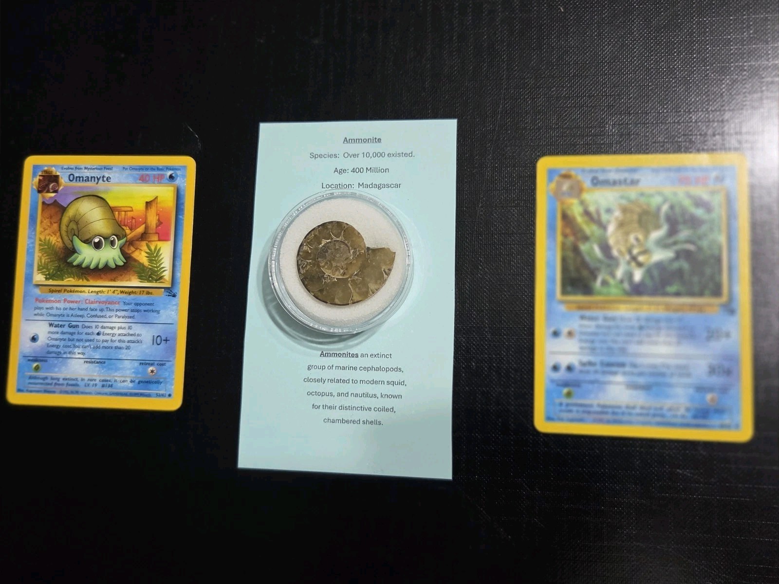 Pokemon REAL FOSSIL (Ammonite) Vintage Pokémon Omastar 40/62 & Omanyte 52/62 