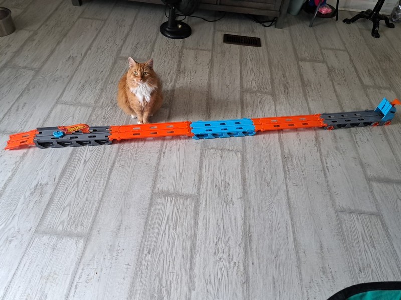Hot Wheels Car Carrier Race Track