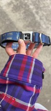 WWE Large Dog Collar