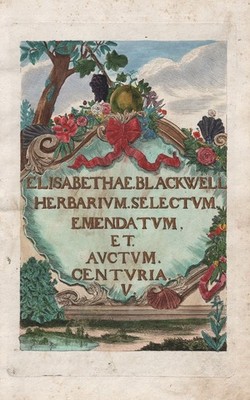 Centuria V Titelblatt Titel title page Botanik Blackwell Kräuterbuch Kupferstich