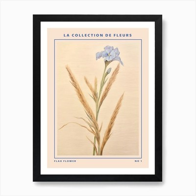Flachsblume französische Blume botanisch gerahmtes Wandbild Poster Leinwanddruck Bild