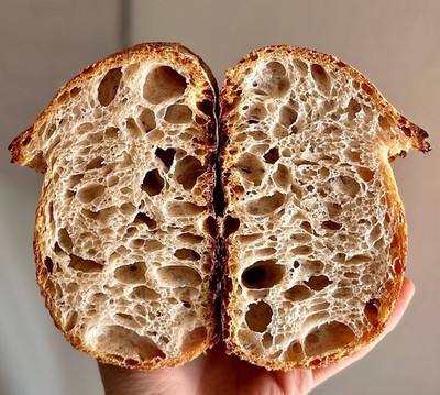 1000 year old ITALY Sourdough Starter - Camaldoli Monastery | Organic Dehydrated