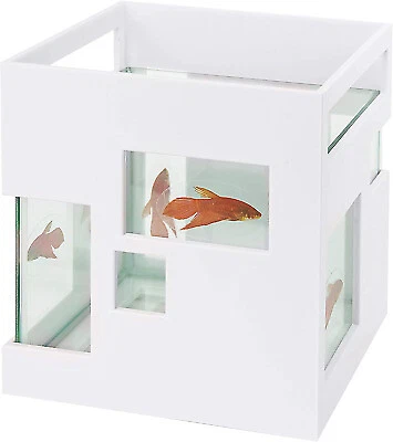 Umbra Fish & Aquariums