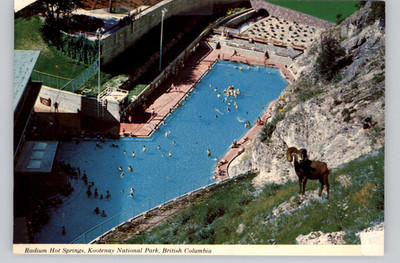 Radium Hot Springs Kootenay National Park British Columbia Postcard