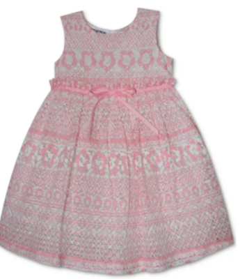 Blueberi boulevard Printed Lace Dress