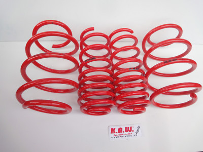 KAW Tieferlegungsfedern SpringKit 1010-9960-Q2 Für Audi A8 Quattro D2