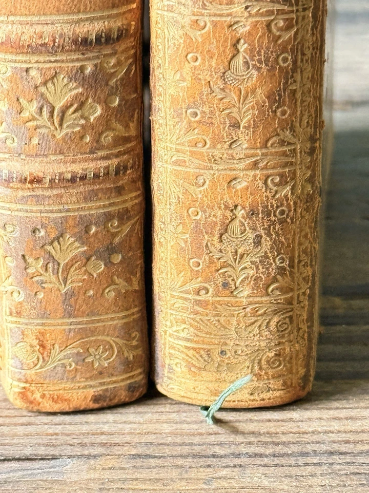 1757 & 1790 French Books w/ Corbeau de Vaulserre Noble Armorial Bookplate Rare - Image 3 of 4