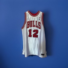 Chicago Bulls Kirk Hinrich 12 NBA Basketball Jersey White/Red/Black Size 46